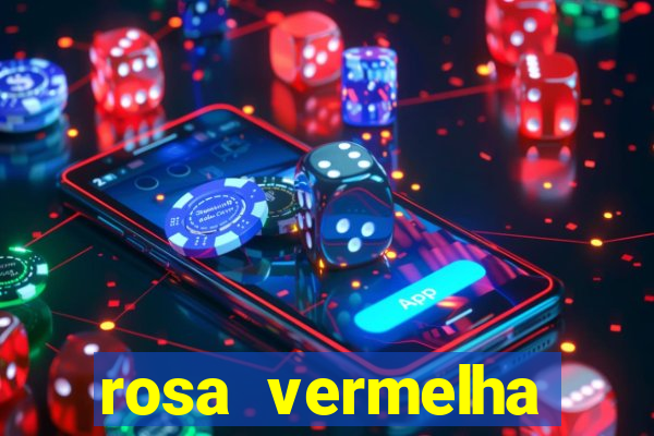 rosa vermelha (letra e cifra)